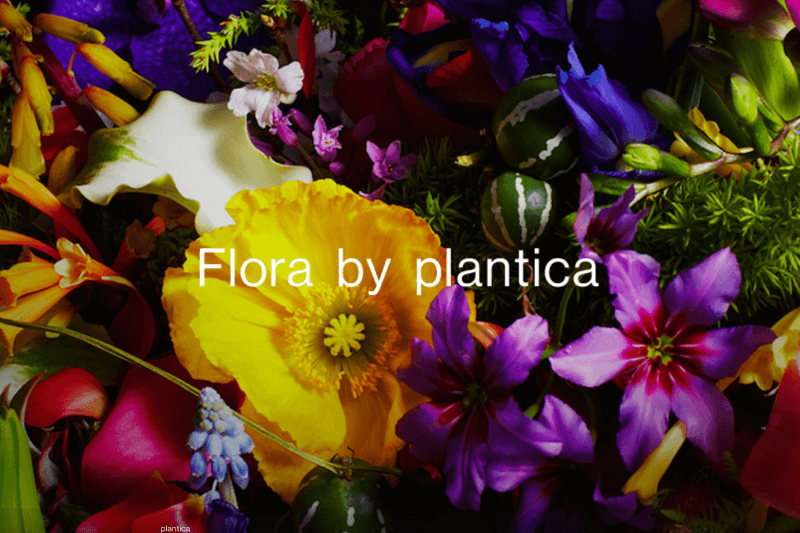 Plantica